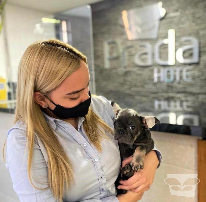 Hotel Prada Sas Bello Εξωτερικό φωτογραφία
